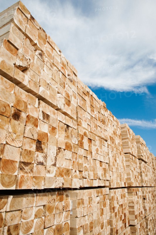 Orderly stack of timber.
