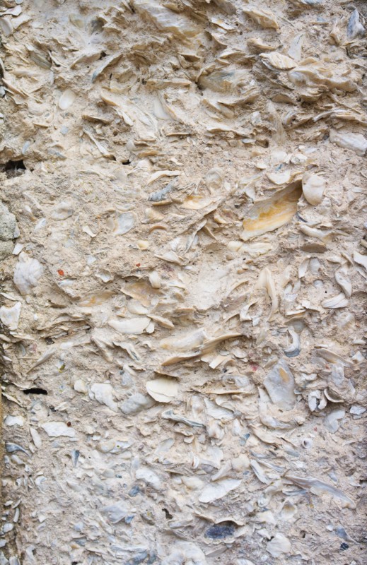 USA, Georgia, Savannah, Close up of old wall.