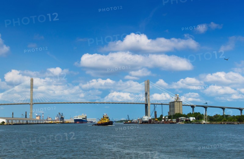 USA, Georgia, Savannah, Tamadge Bridge over Savannah River.