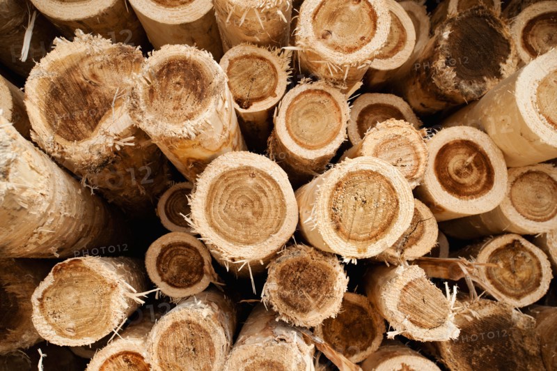Full-frame shot of timber stack. Photo: Erik Isakson
