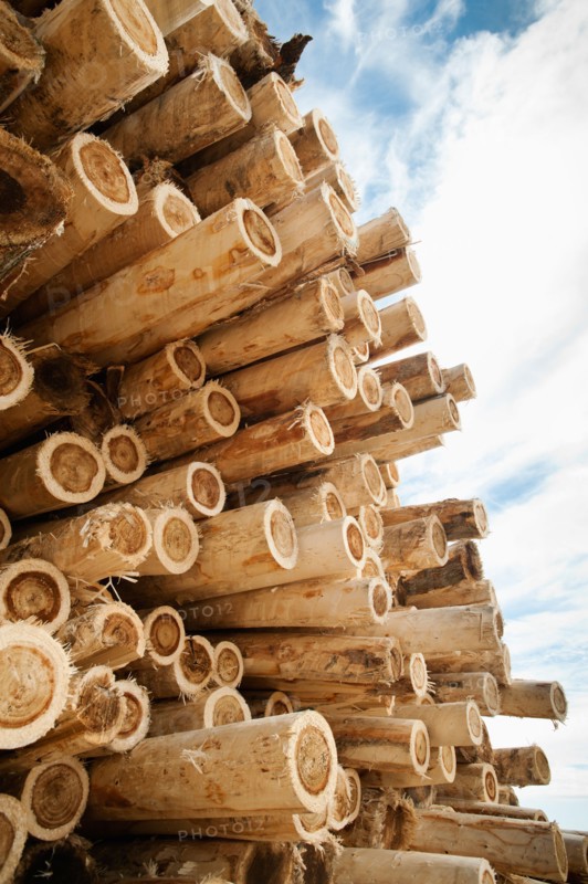 Stack of timber against sky. Photo: Erik Isakson