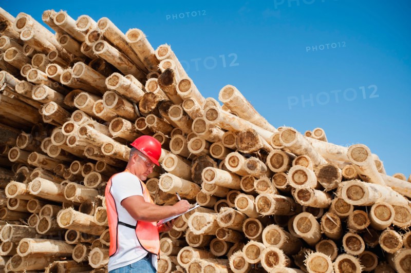 Engineer in front of stack of timber. Photo: Erik Isakson