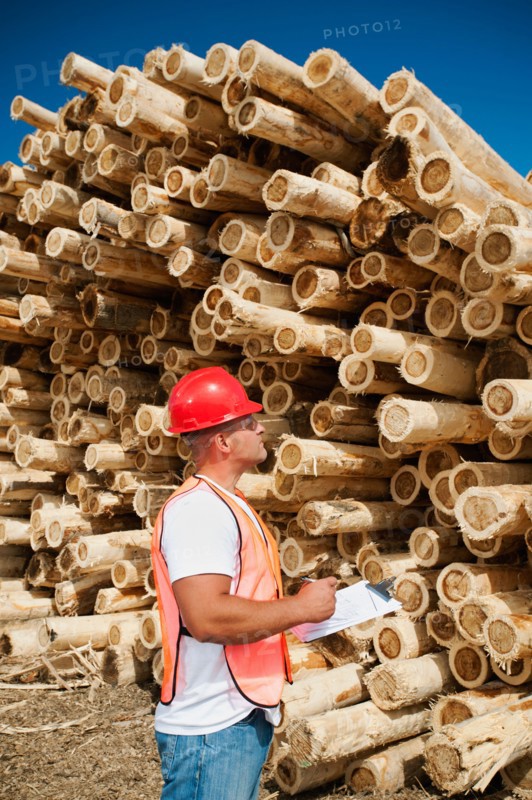 Engineer in front of stack of timber. Photo: Erik Isakson