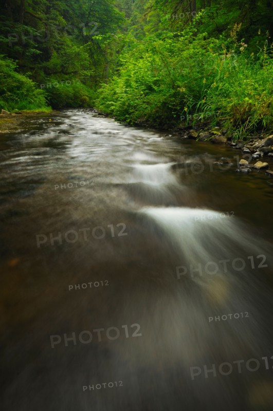 USA, Oregon, Silver Falls State Park, Silver Creek. Photo : Gary J Weathers
