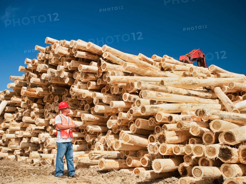 Engineer in front of stack of timber. Photo: Erik Isakson