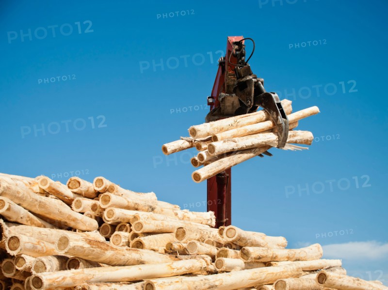 Crane loading timber against blue sky. Photo: Erik Isakson