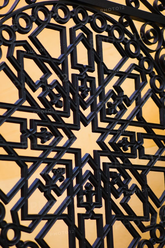 USA, South Carolina, Charleston, Close up of ornate detail of iron gate.
