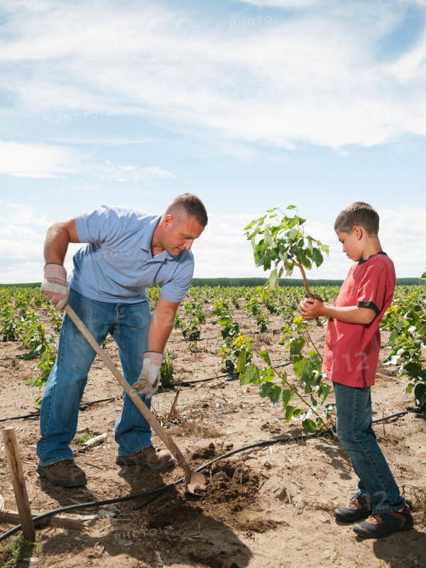 Father and son (8-9) planting trees in tree farm. Photo: Erik Isakson