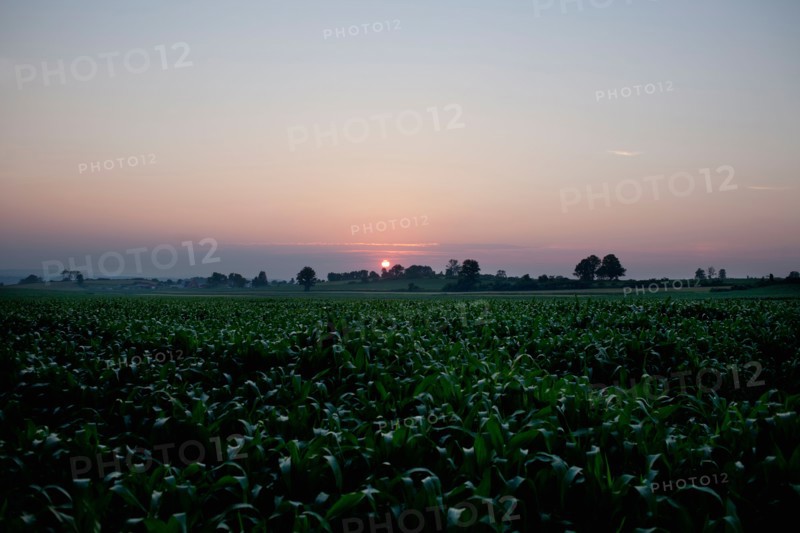 USA, New York State, Farmland at sunset. Photo : Winslow Productions