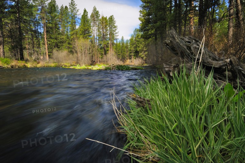 USA, Oregon, Deschutes County, Metolious River. Photo : Gary J Weathers