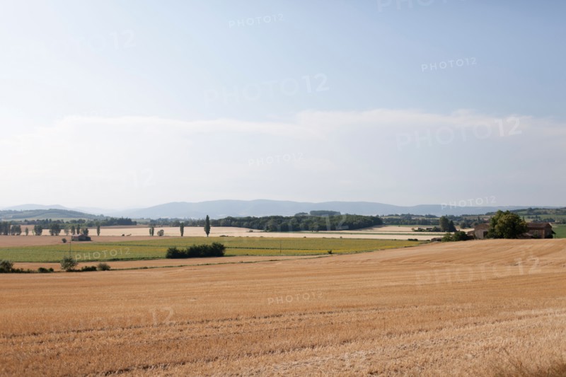 France, Drome, Grignan, Rural landscape. Photo : Jan Scherders