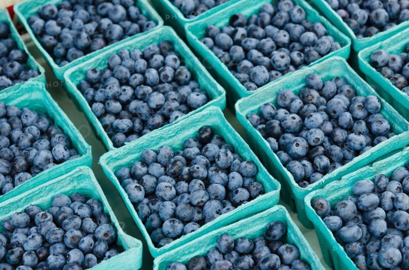 Rows of blueberries in cartons.
