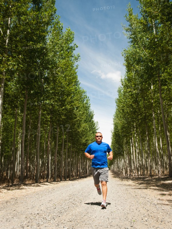 Man running between rows of poplar trees in tree farm.