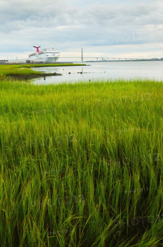 USA, South Carolina, Charleston, Green rushes on riverbank with ferry in background.
