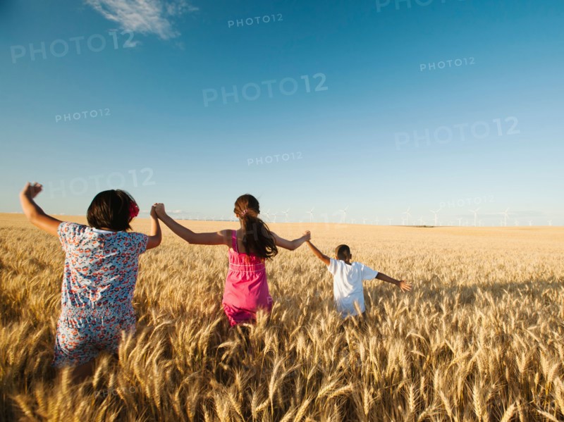 Girls (10-11, 12-13) and boy (8-9) walking though wheat field.