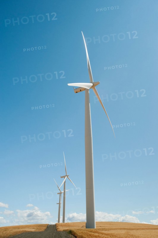 USA, Oregon, Wasco, Wind turbines along dirt road between wheat fields.