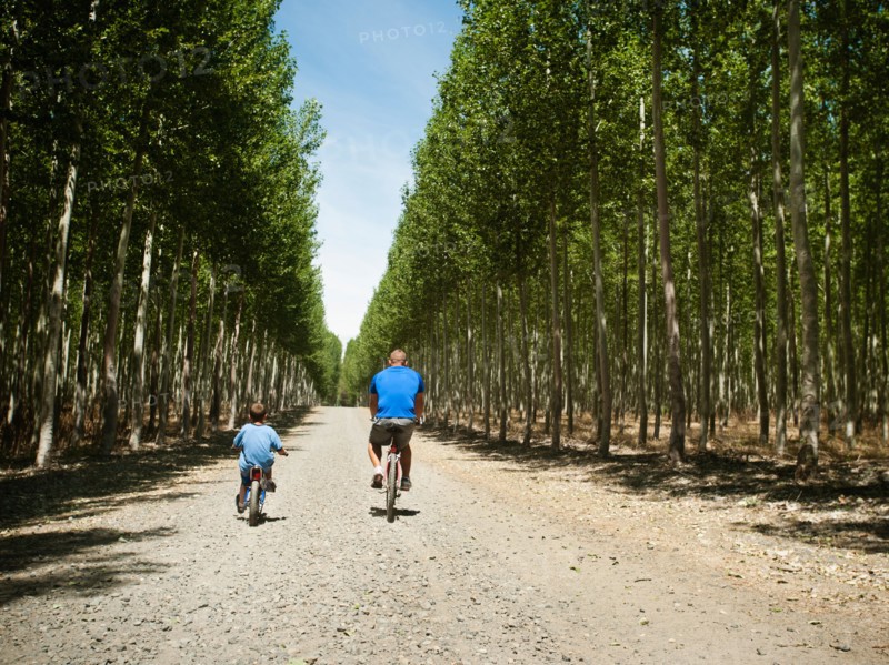 Father with son (8-9) cycling up country road. Photo: Erik Isakson