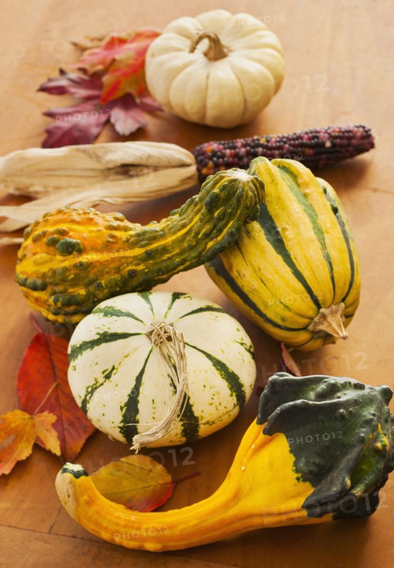 Colorful gourds, studio shot.