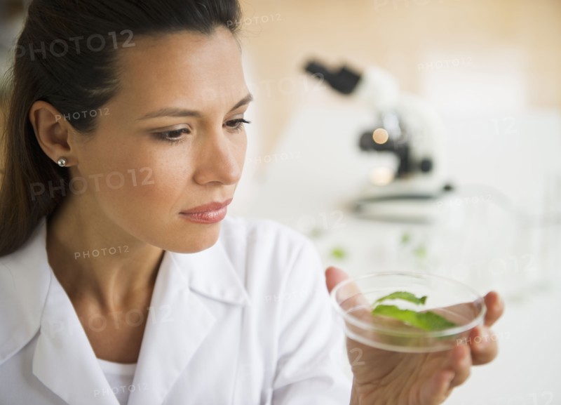 Female scientist examining sample.