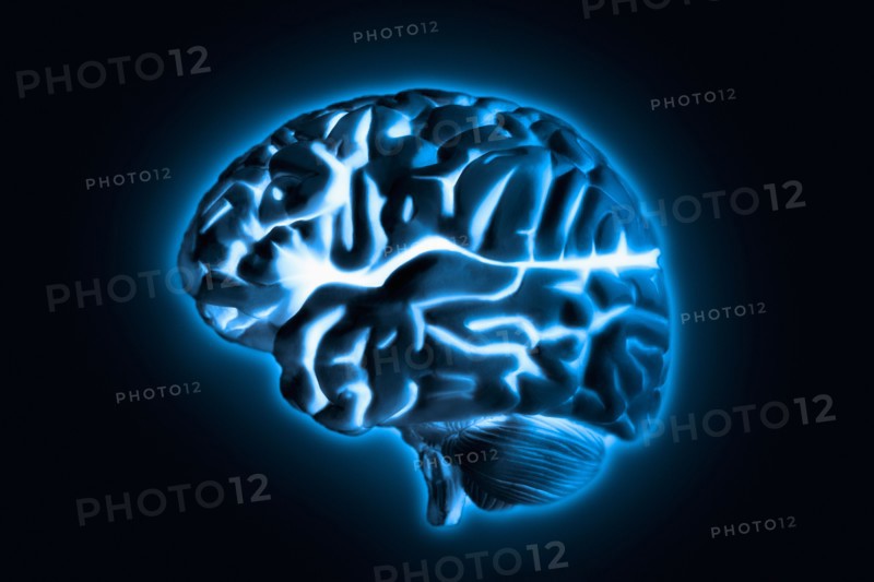Human brain model with blue glow, studio shot.