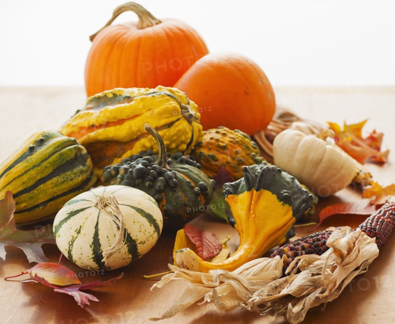 Variety of pumpkins, studio shot.