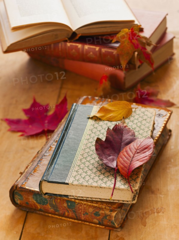 Autumn leaves on books, studio shot.