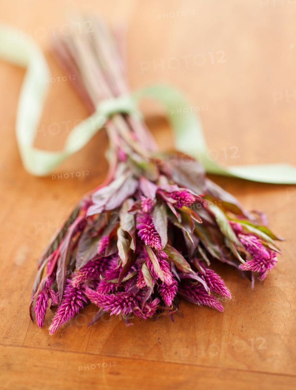 Bunch of purple Eremurus on wooden table.