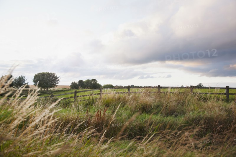 Ireland, County Westmeath, landscape with pasture. Photo: Jamie Grill