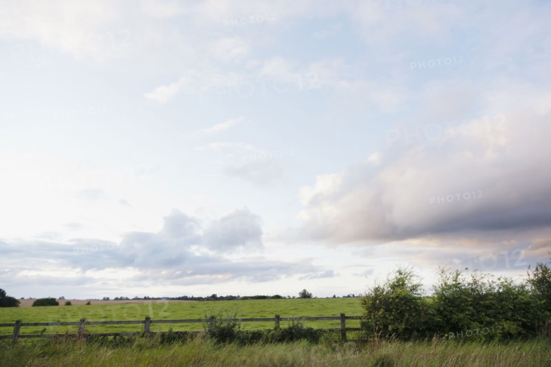 Ireland, County Westmeath, landscape with pasture. Photo: Jamie Grill