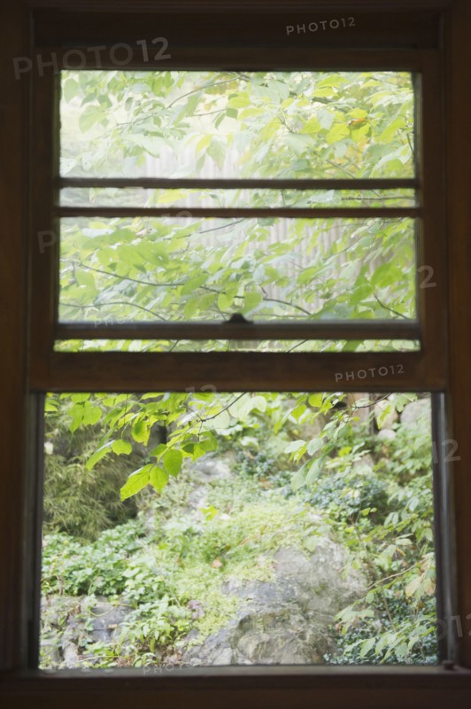 Roaring Brook Lake, Close up of branch behind window. Photo : Jamie Grill