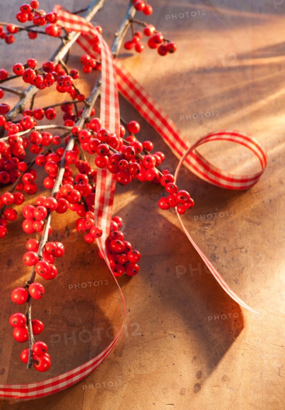 Winter berry branch. Photo: Daniel Grill