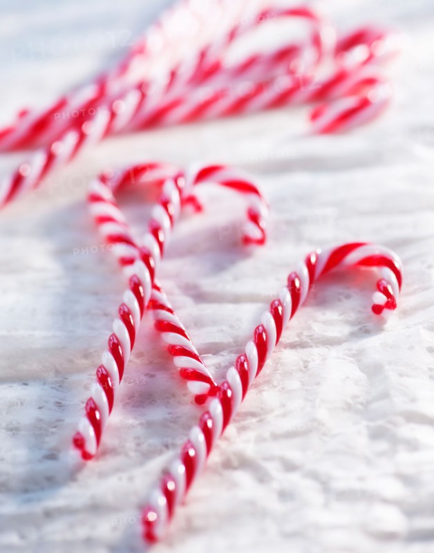 Christmas candy canes. Photo: Daniel Grill