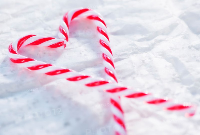 Christmas candy canes. Photo : Daniel Grill