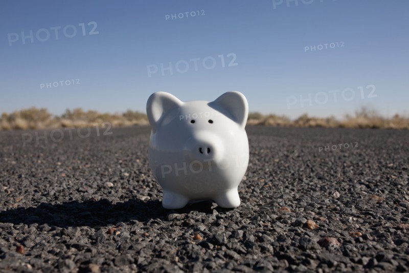 Piggy bank on asphalt road. Photo: Winslow Productions