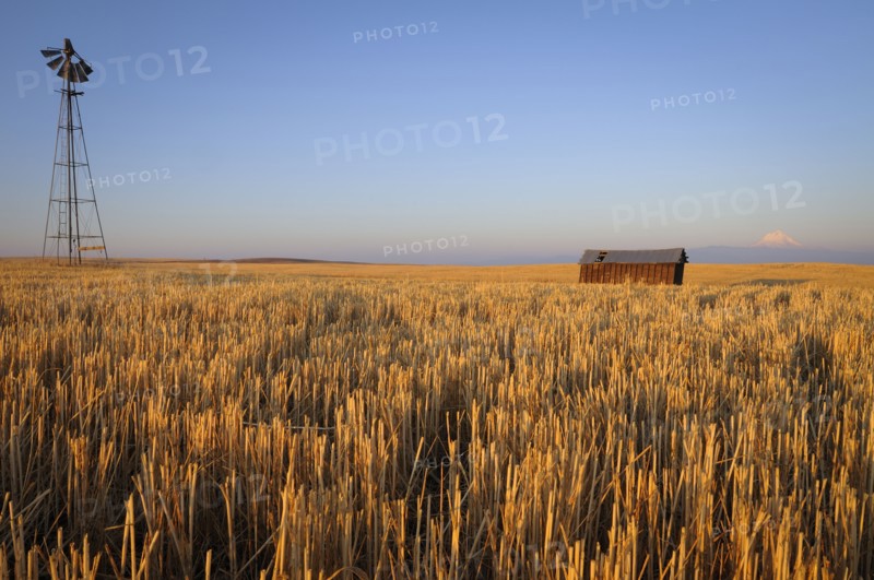 USA, Oregon, Wosco county, Rural scene with solitary barn. Photo : Gary Weathers