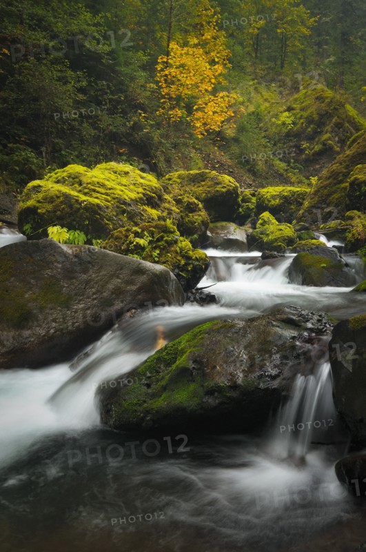 USA, Oregon, Eagle Creek. Photo : Gary Weathers