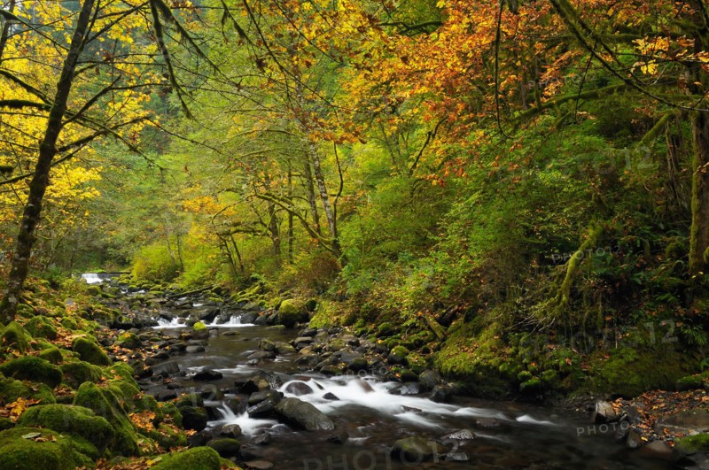 USA, Oregon, Eagle Creek. Photo : Gary Weathers