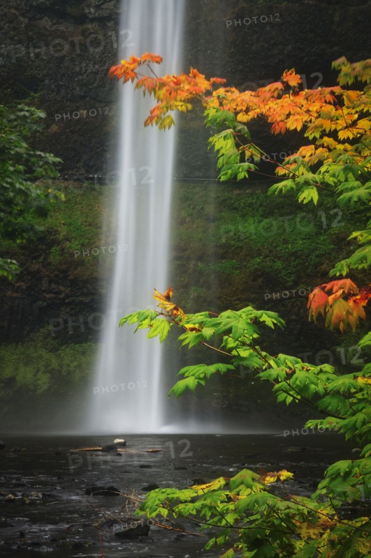 USA, Oregon, Marion County, South Falls. Photo : Gary Weathers