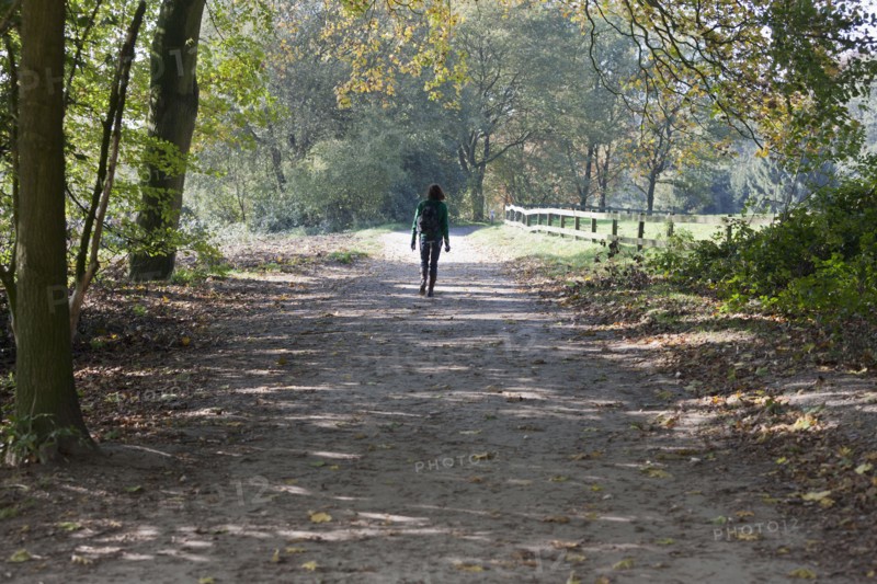 The Netherlands, Veluwezoom, Posbank, Hiker in countryside. Photo : Jan Scherders