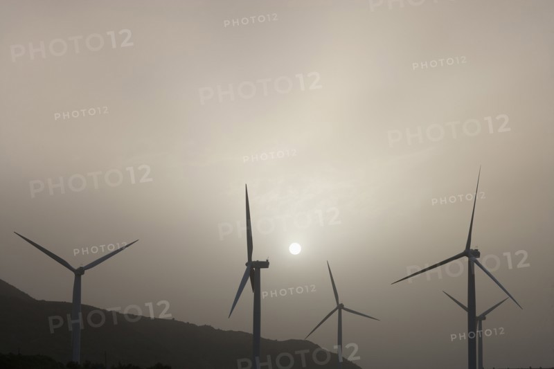 Silhouettes of wind turbines. Photo : Noah Clayton