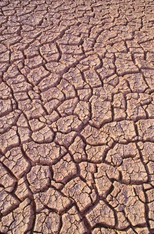 Mexico, Baja California, Dry lake bed. Photo: DKAR Images