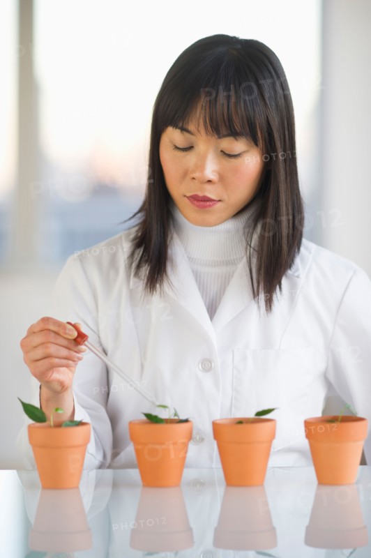 Scientist dropping liquid into seedlings.