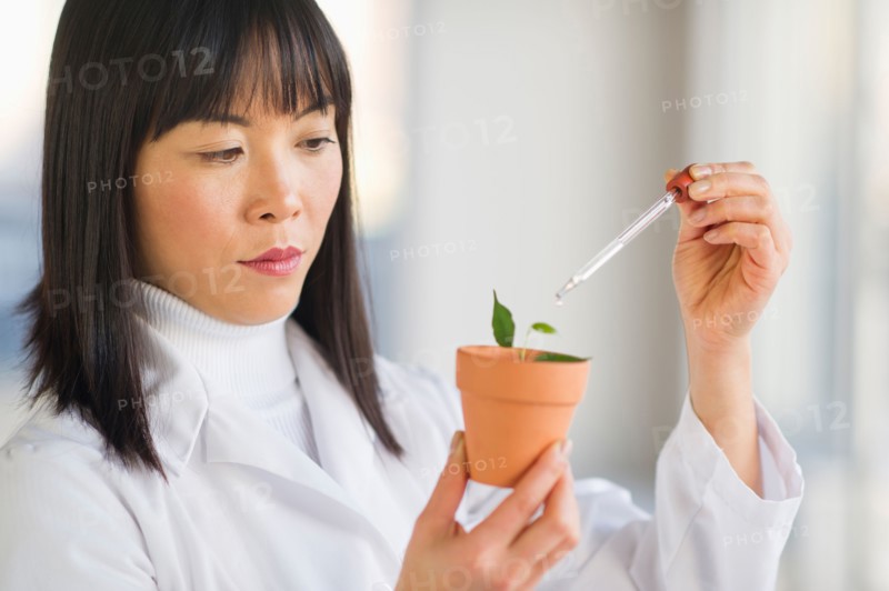 Scientist dropping liquid into seedlings.