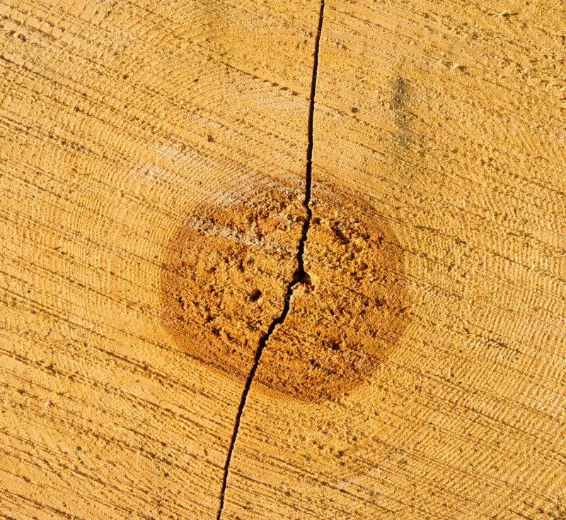 Close-up of cracked wood.