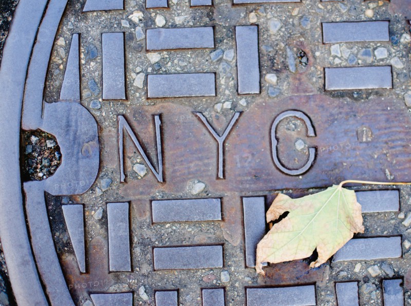 USA, New York State, New York City, Manhole and Fall leaf. Photo : Jamie Grill