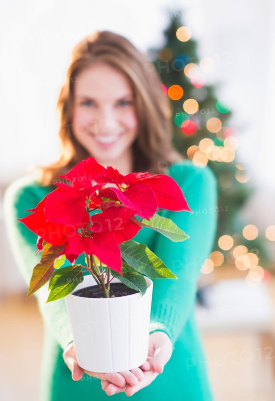 Young woman with red poinsettia. Photo : Daniel Grill