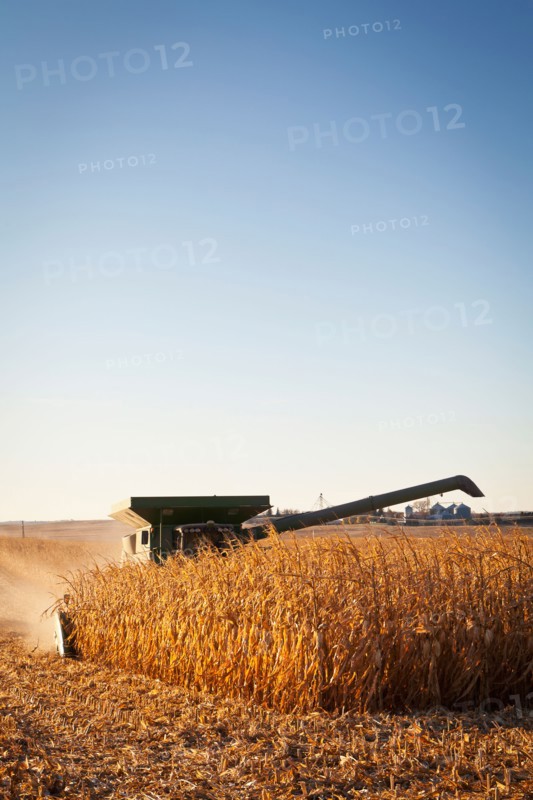 USA, Iowa, Latimer, Combine harvester harvesting corn. Photo : Sarah M. Golonka
