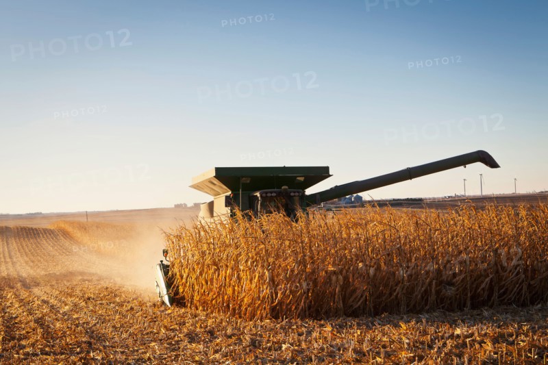 USA, Iowa, Latimer, Combine harvester harvesting corn. Photo : Sarah M. Golonka