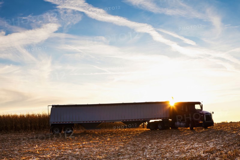 USA, Iowa, Latimer, Truck on harvested field . Photo : Sarah M. Golonka