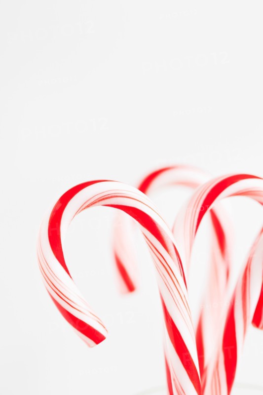 Red and white candy canes, studio shot. Photo : Sarah M. Golonka